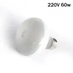 220V 60w
