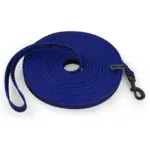 LS blue