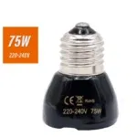 75W B
