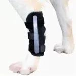 Left leg Metal bar