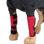 Front knee pads
