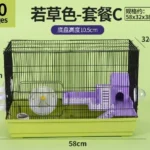 Set C-01