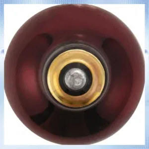 X50A-100W 2 Pack Infrared Heat Lamp Bulb Red Light Heat Bulbs For Pet Lizards Bearded Dragons Chameleons Snakes Reptiles & Amphi