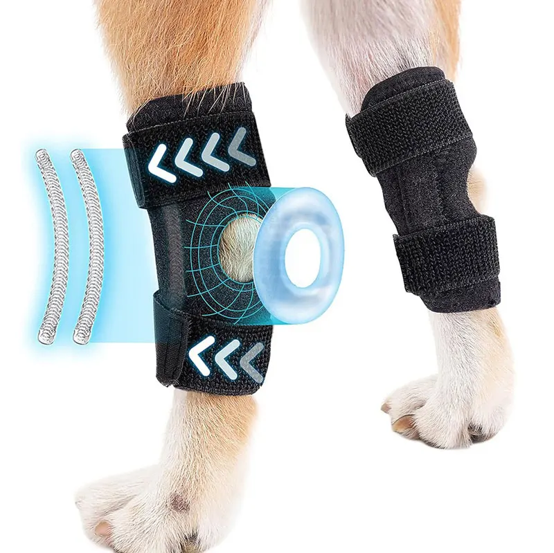 Dog Protector Support Protects Bandage Dog Arthritis Protector Cover Dogs Hock Joint Brace Pet Knee Pads Dogs Injury Recovery 8 kf S3d860d19640543259bfd858a34ce0417d