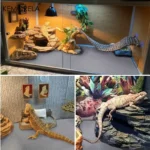 Kemorela Reptile Carpet Terrarium Liner Bedding Reptile Substrate Mat Safe And Comfortable Reptile Cage Mat For Snake Lizard 2 kf S406091239270466fbd4249a75cbbf968u
