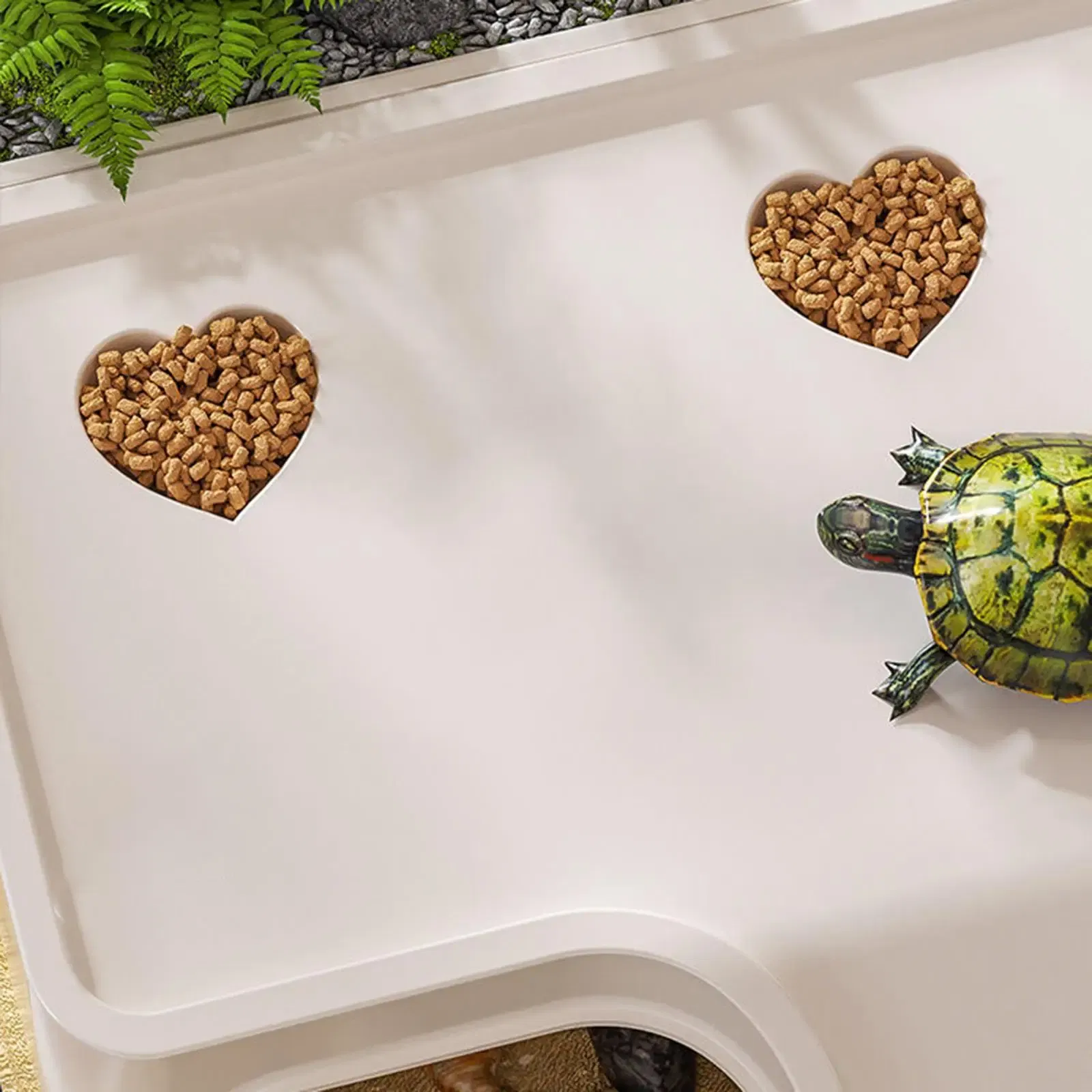 Turtle Tank with Basking Reptile Habitat Turtle Aquarium for Amphibians