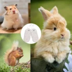 2/4/6Pcs Teeth Molar Stone Natural Mineral Rabbit Guinea Pig Hamster Teeth Grinding Stone Small Pet Care Chew Toys Pets 2025 6 kf S582f240bdfcf478ebf03f5241ab8c9e6T