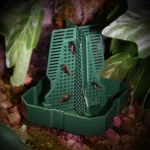1 Cricket, Dubia Cockroach, Live Food, Climbing Predation Dish, Lizard, Frog Feeding Basin 14 kf S5b0d0ea2879243f69f9f81c4ea76c580Y