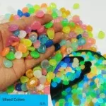 100pcs-100018786