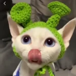 SLK