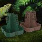 1 Cricket, Dubia Cockroach, Live Food, Climbing Predation Dish, Lizard, Frog Feeding Basin 16 kf S68f3c040fb6c465ab1429b313773a6a0o
