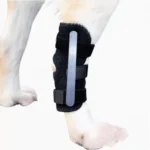 Right leg Metal bar