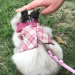Cute Bunny Guinea Pig Costume For Small Animal Dwarf Rabbit Chinchillas School Uniform Clothes With Harness Mascotas Accessories 6 kf S6b3cb1c143ab4fcfa625179c2ea07adcE