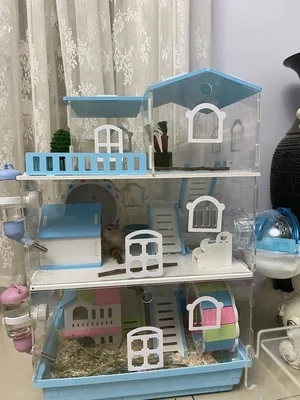 kf S6c3740b26af24544889ae20cd16e4486E