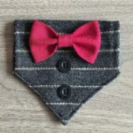 GrayRed