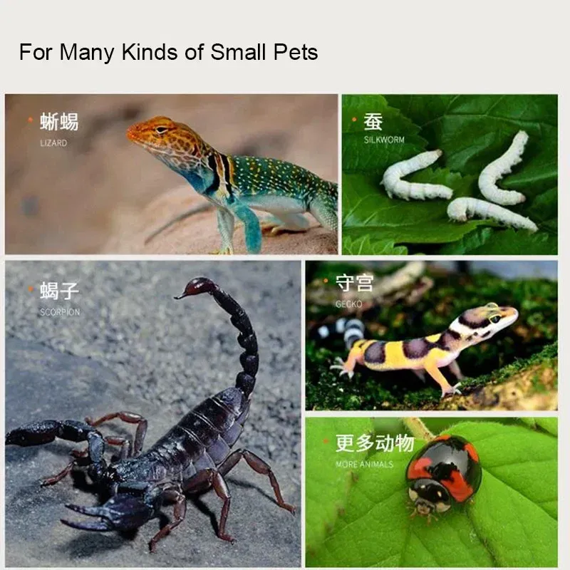 kf S704feb1c316644f79b0b7f266d94493aR