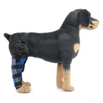 New right hind leg 3