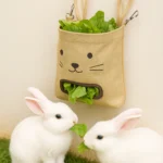 New Style Rabbit Suspended Type Hay Bag Rabbit Styling Feed Bag Dutch Pig Hamster Feeding Bag Little Pet Products 28 kf S763c1d5d03684d62b3ad3c1037b213dfJ