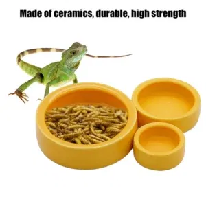 Reptile Water Food Bowl Worm Dish Ceramic Pet Bowls Anti-Escape Mini Reptile Mealworms Bowl for Lizard Bearded Dragon