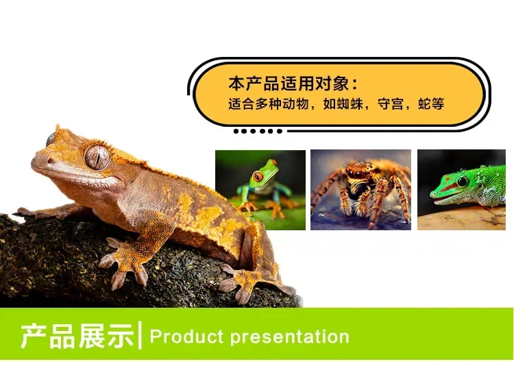 Lizard Horned Frog Breeding Box Pet Home Acrylic One Leak-Proof Climbing Pet Box Snake Reptile Breeding Box 16 kf S8113d0ebfdd44610b92cd4e22435ce8eR