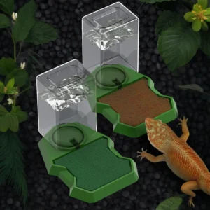 1PC Automatic Reptile Feeder Lizard Water Bowl Corner Dish with Water Bottle for Small Animal Pet Turtle Maned Lion Gecko Lizard