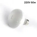 220V 60w