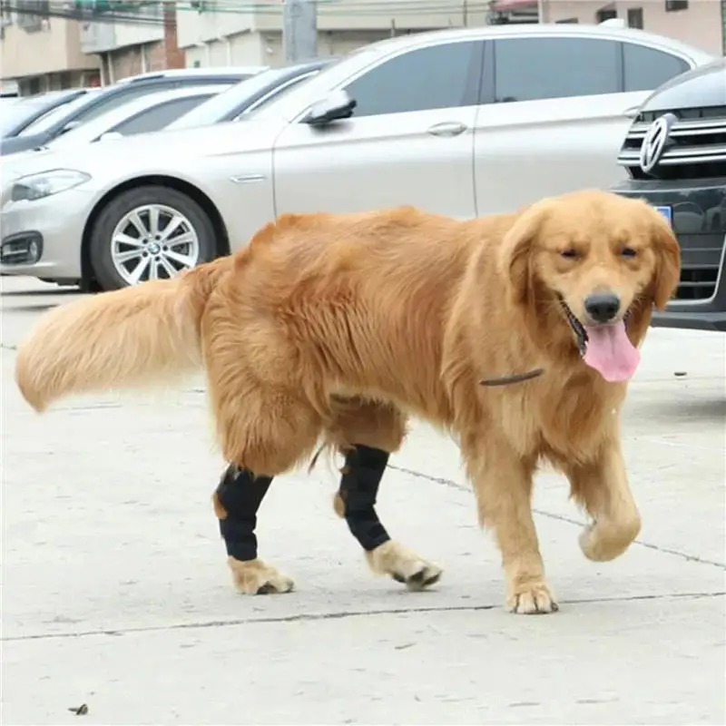 kf