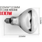 100w 110V