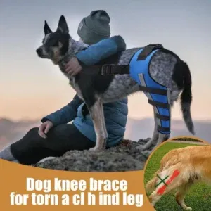 Dog Back Leg Braces Pet Orthopedic Joint Support Brace Portable Pet Knee Wound Protection for Small Animals Recovery