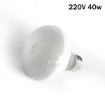 220V 40w