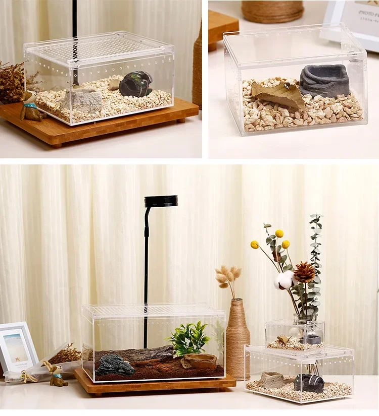 Lizard Horned Frog Breeding Box Pet Home Acrylic One Leak-Proof Climbing Pet Box Snake Reptile Breeding Box 18 kf S8a02c3347a654582b5a763f448e802cd4