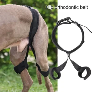 Dog Knee Brace Pet Knee Pad Adjustable Dog Leg Brace Small Medium Large Dogs Support Brace Injury Joint Wrap Recover Protector