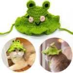 Light Green Frog