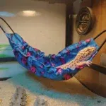 Blue floral