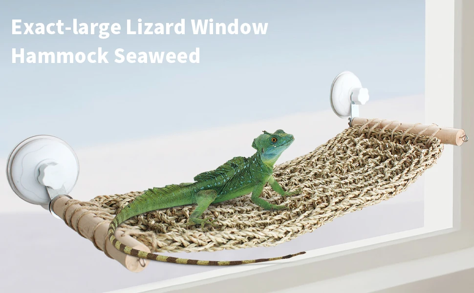 bearded dragon window hammock