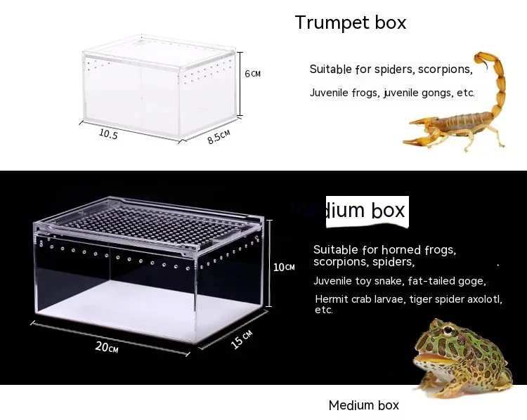 Lizard Horned Frog Breeding Box Pet Home Acrylic One Leak-Proof Climbing Pet Box Snake Reptile Breeding Box 13 kf S96e14cd9e8dd44e5b4f951e30572c43fq