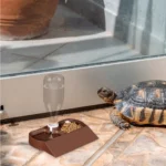 Reptile Water ,Dish Food Feeders Bowl,Large Capacity Feeding Accessories Waterer Food Dish For Lizards Turtle Bearded Dragons 102 kf S976ae11bf60f4ddc86ed8324db8ee718f