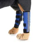 Back knee pads 4