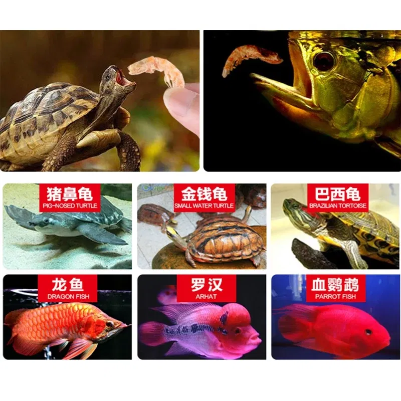 kf S9c39e6b8585744c6a5970cfeef6cfbfbf