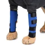 Front knee pads 2