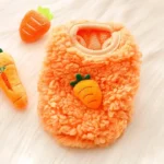 Orange Carrot