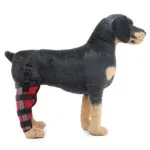 New right hind leg 2