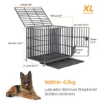 XL