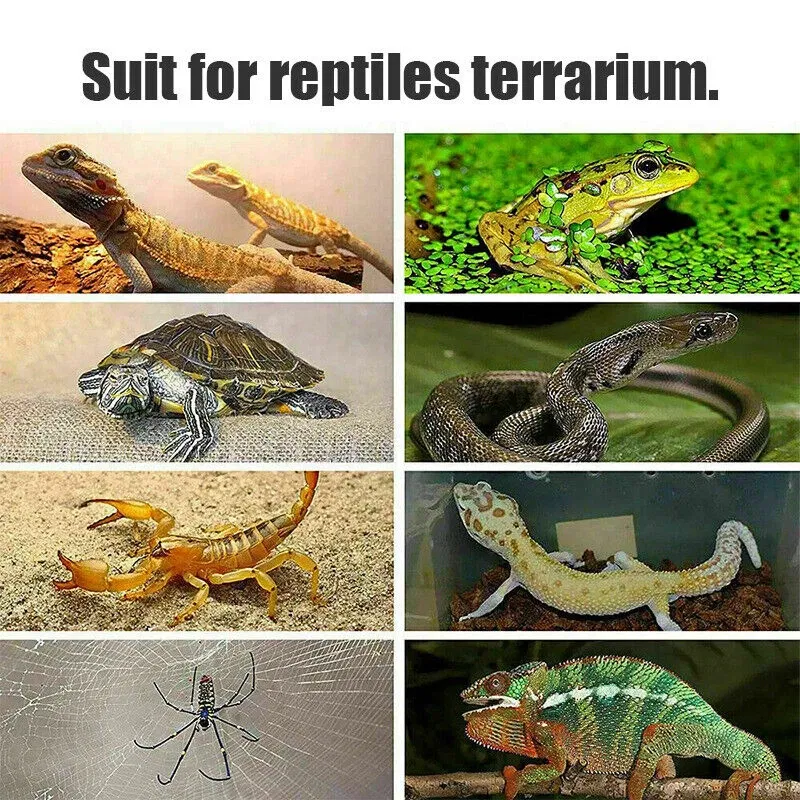 kf