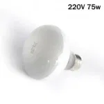 220V 75w