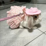 Soft Cotton Rabbit Harness Dress And Leash Set For Rabbits Bunnies Summer Small Animals Clothes Outdoor Pet Walking Supplies 27 kf Sb4d042f25d334b0abc6d2f1c7995ba48Q