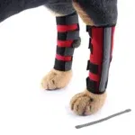 Back knee pads 6
