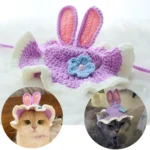 Bunny Ear