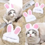 white rabbit