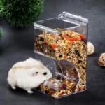 Hamster Rabbit Food Dispenser Feeder Plastic Clear Automatic Pet Feeder For Hamster Guinea Pigs Food Bowl Container 31 kf Sbf059907101f4754aa638d0f6d7d87adV